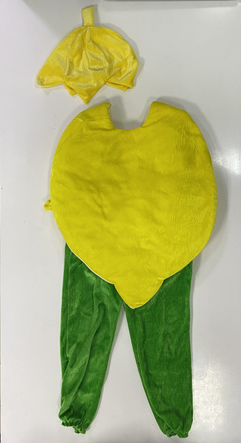 Карнавальний костюм лимон №1