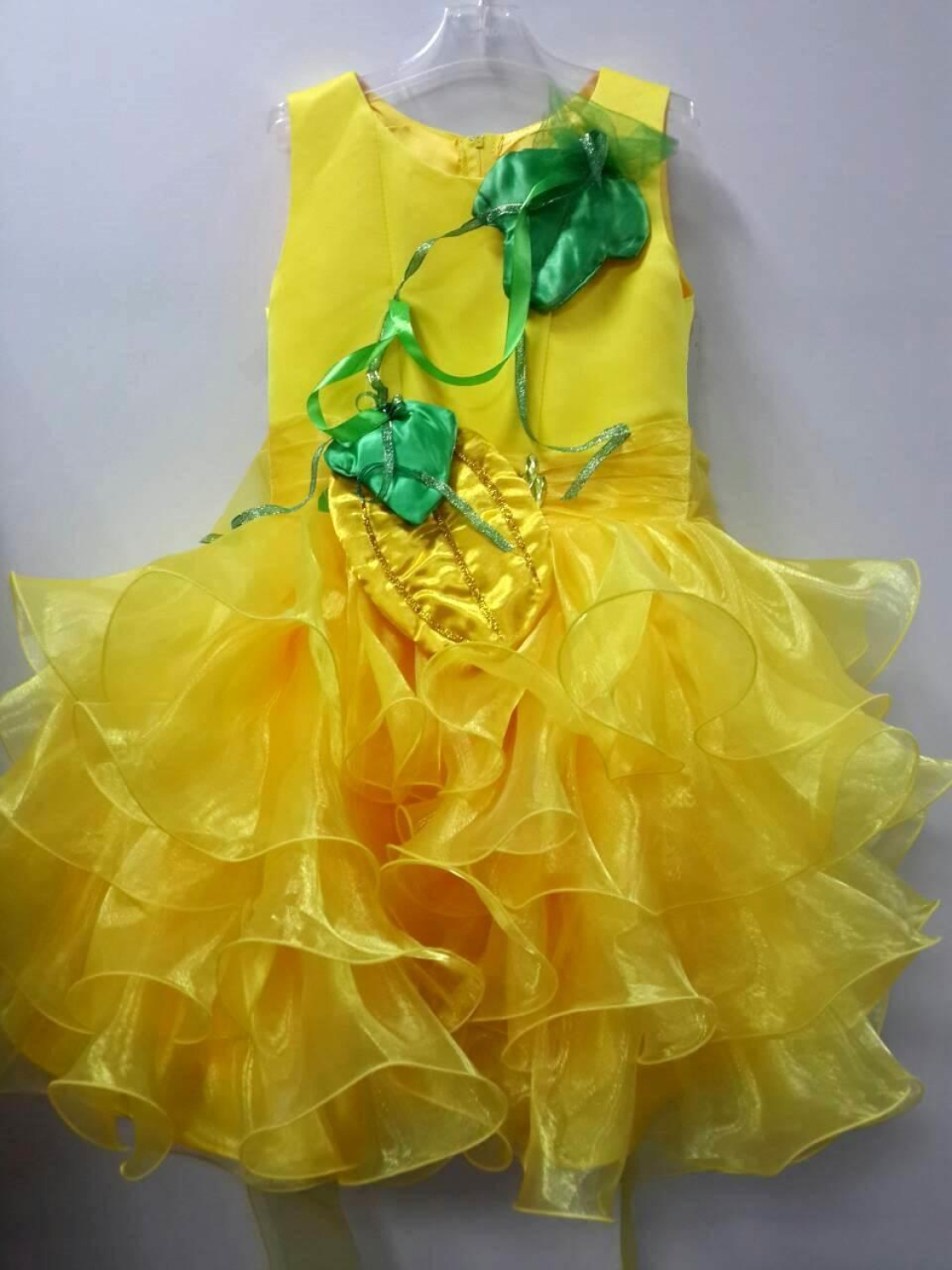 Карнавальний костюм Диня Рюша