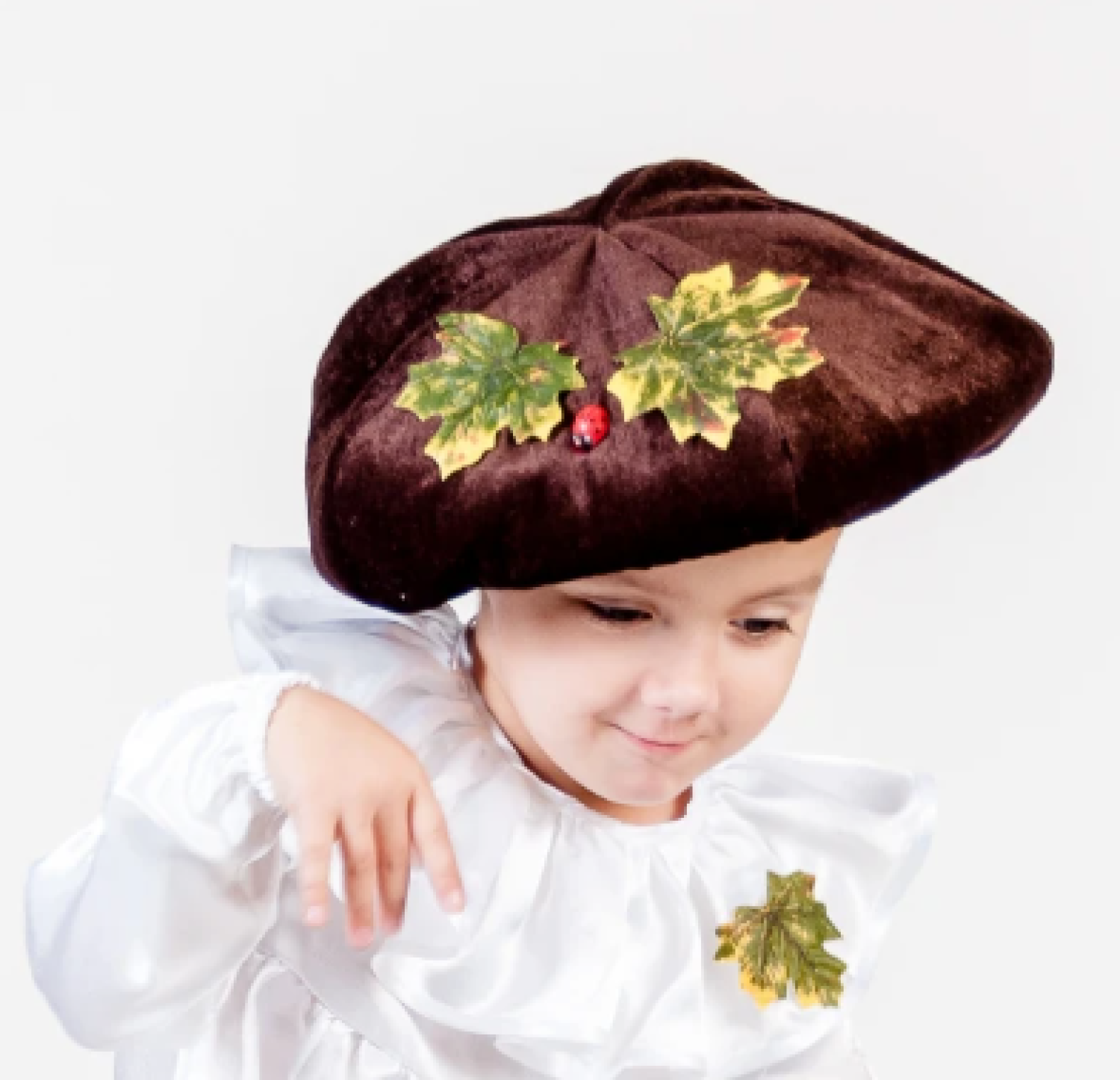 Шапка Гриб Боровик