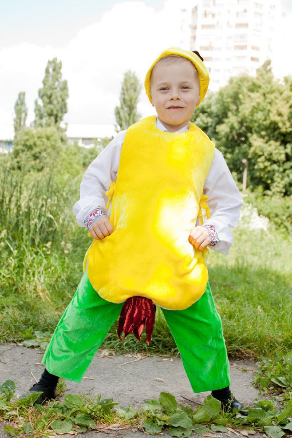 Карнавальний костюм Груша № 1