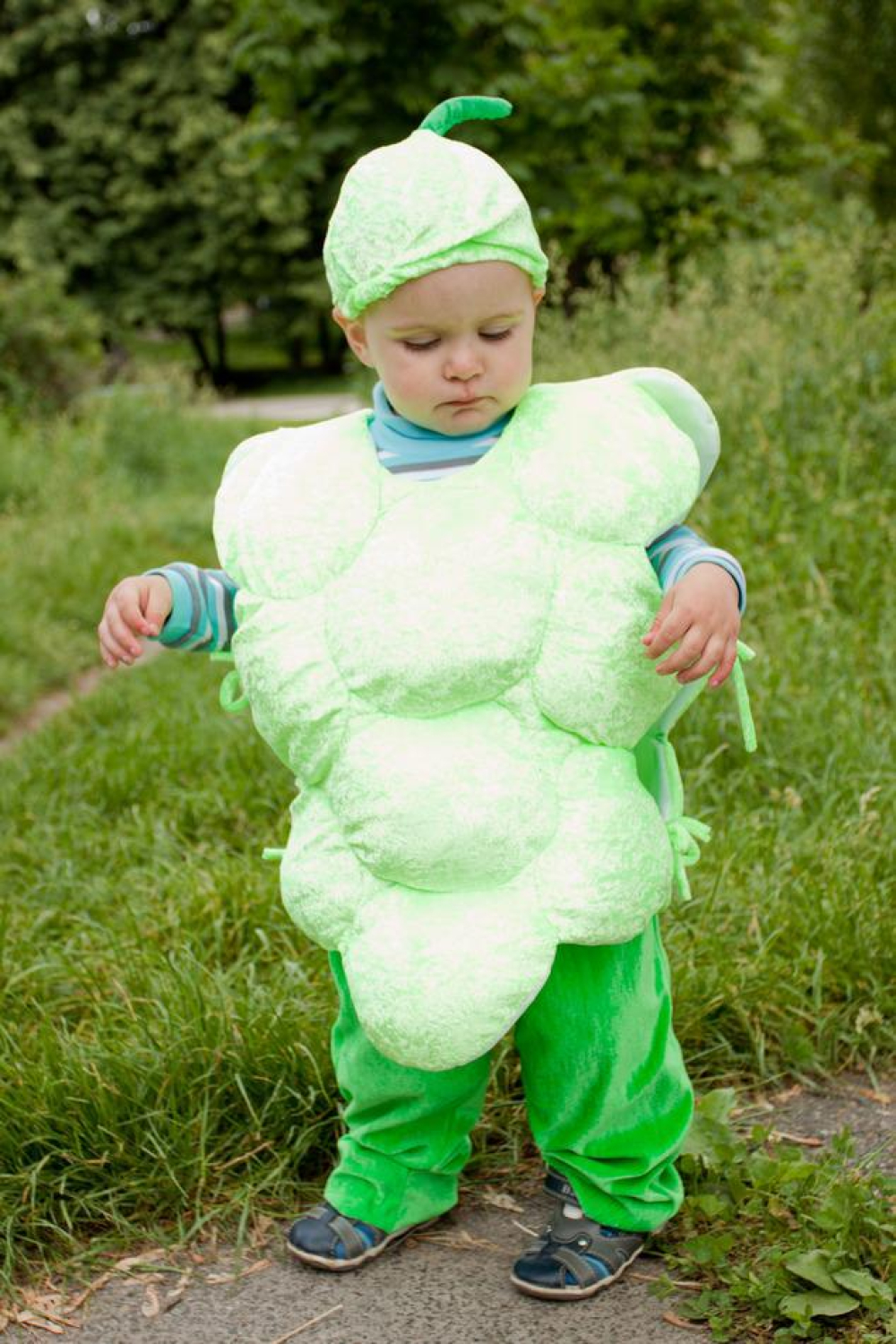 Карнавальний костюм Виноград №1