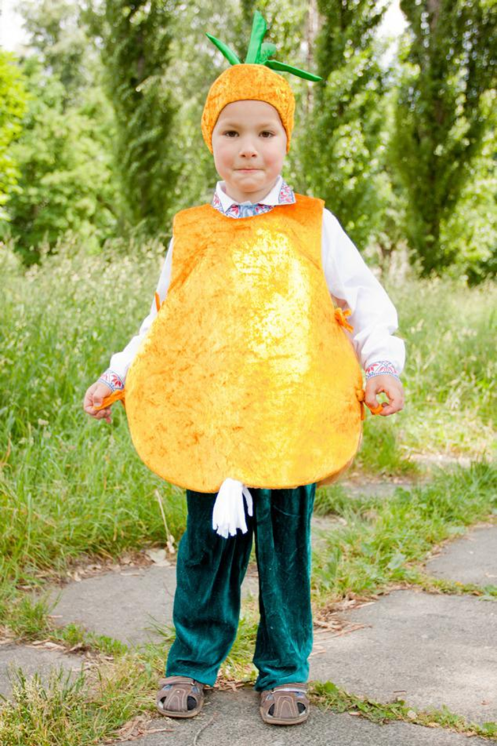 Carnival costume Onion # 1