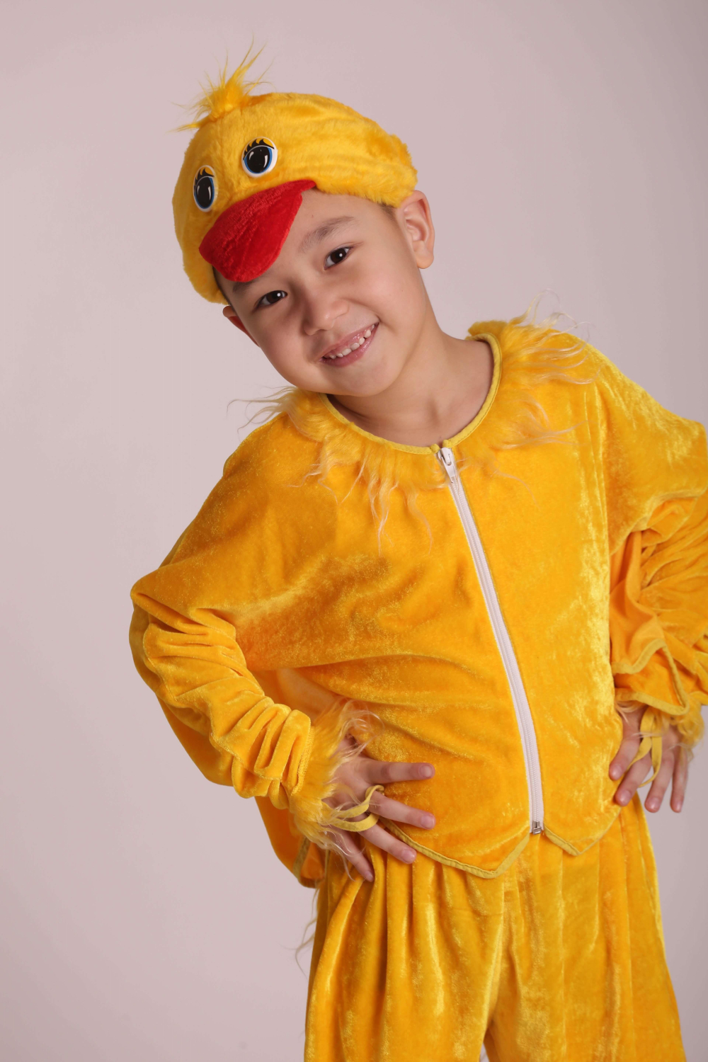 Carnival costume chicken # 8