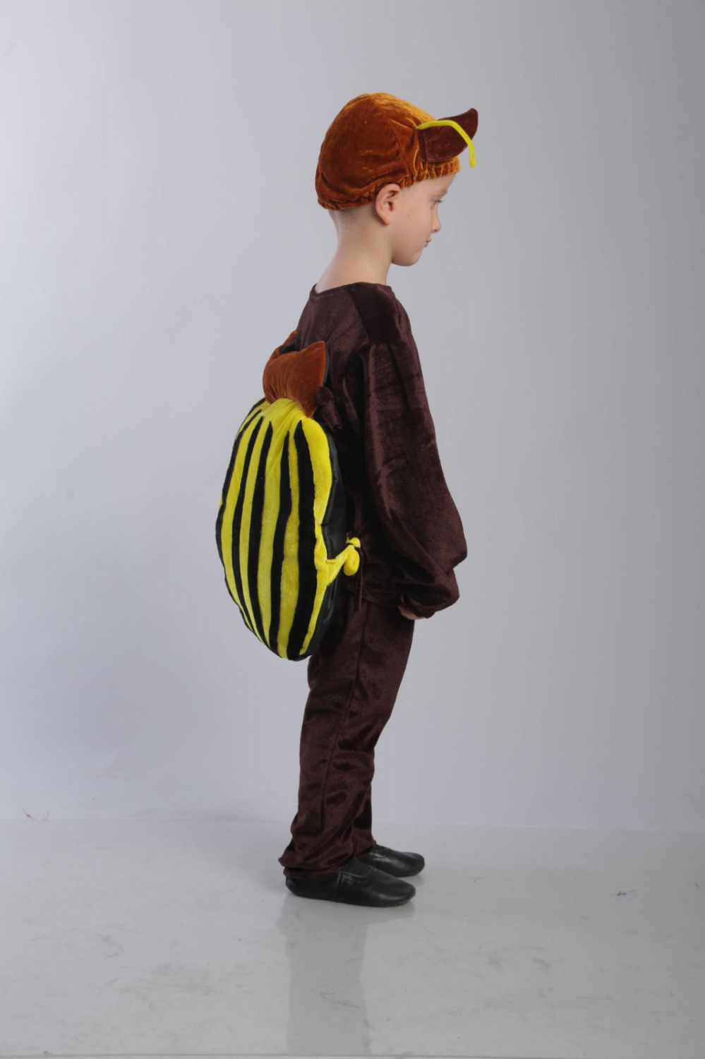 Carnival costume Colorado beetle