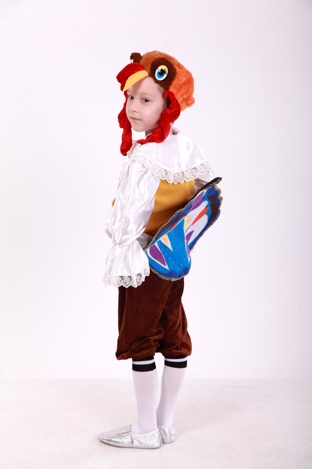 Carnival costume for a boy turkey, TM Sonechko TM turkey