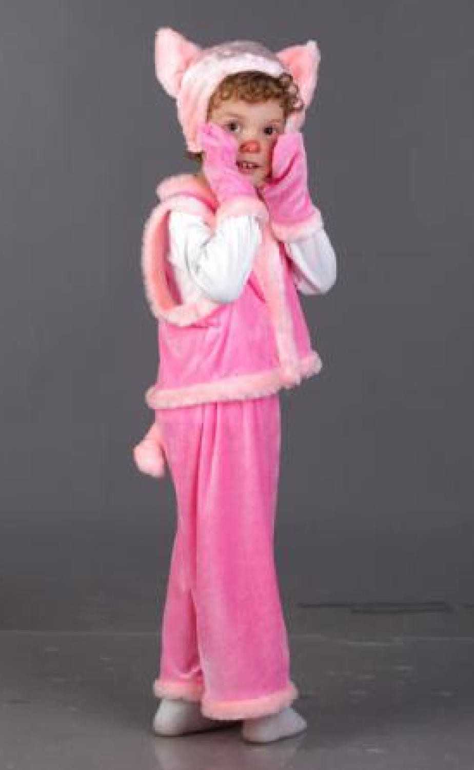 Carnival costume for a boy Piglet №2