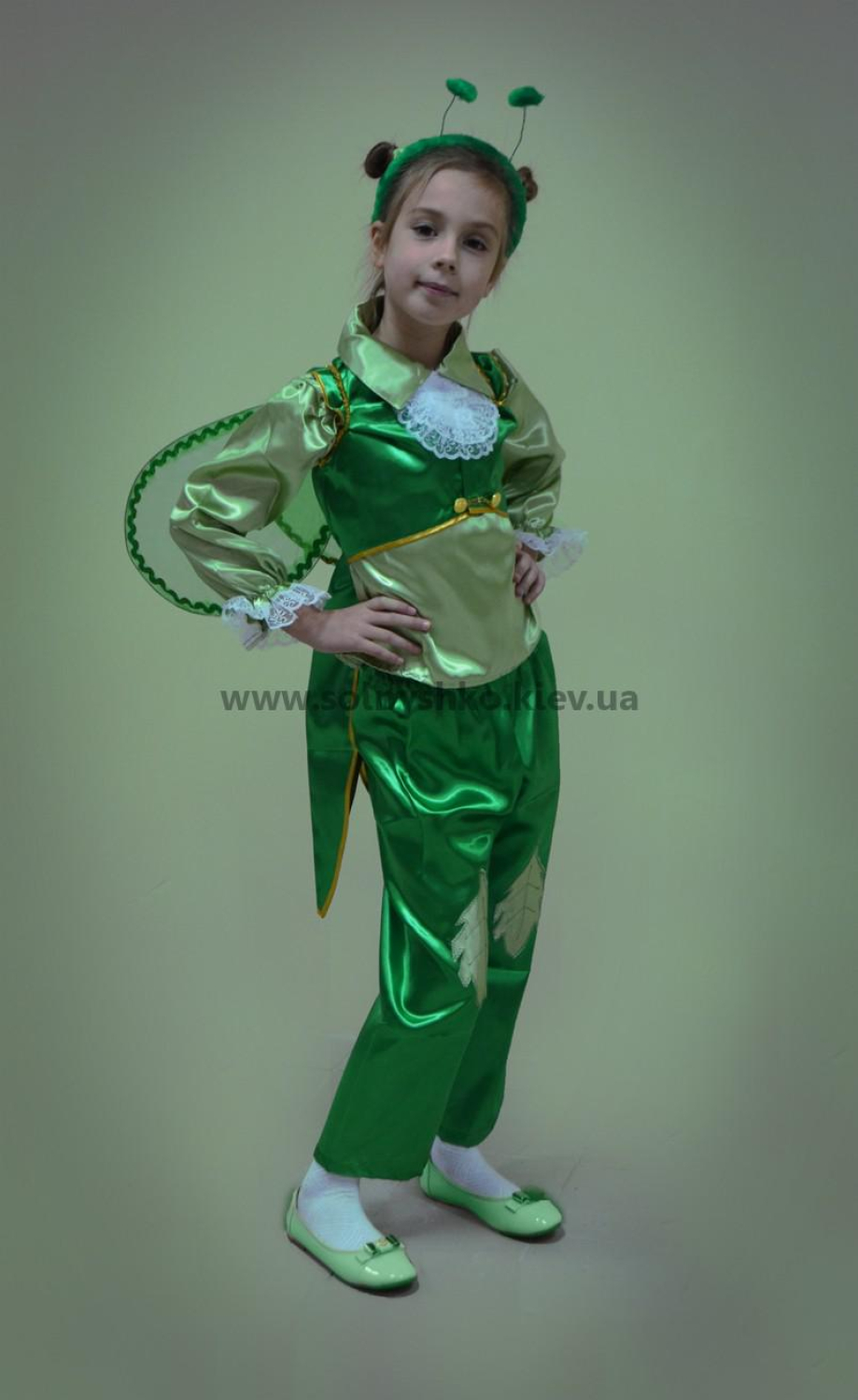 Carnival costume for grasshopper # 1