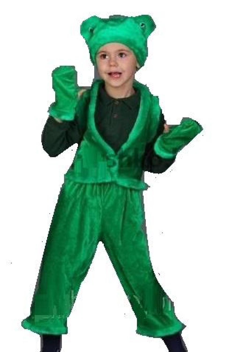 Carnival costume Frog №2