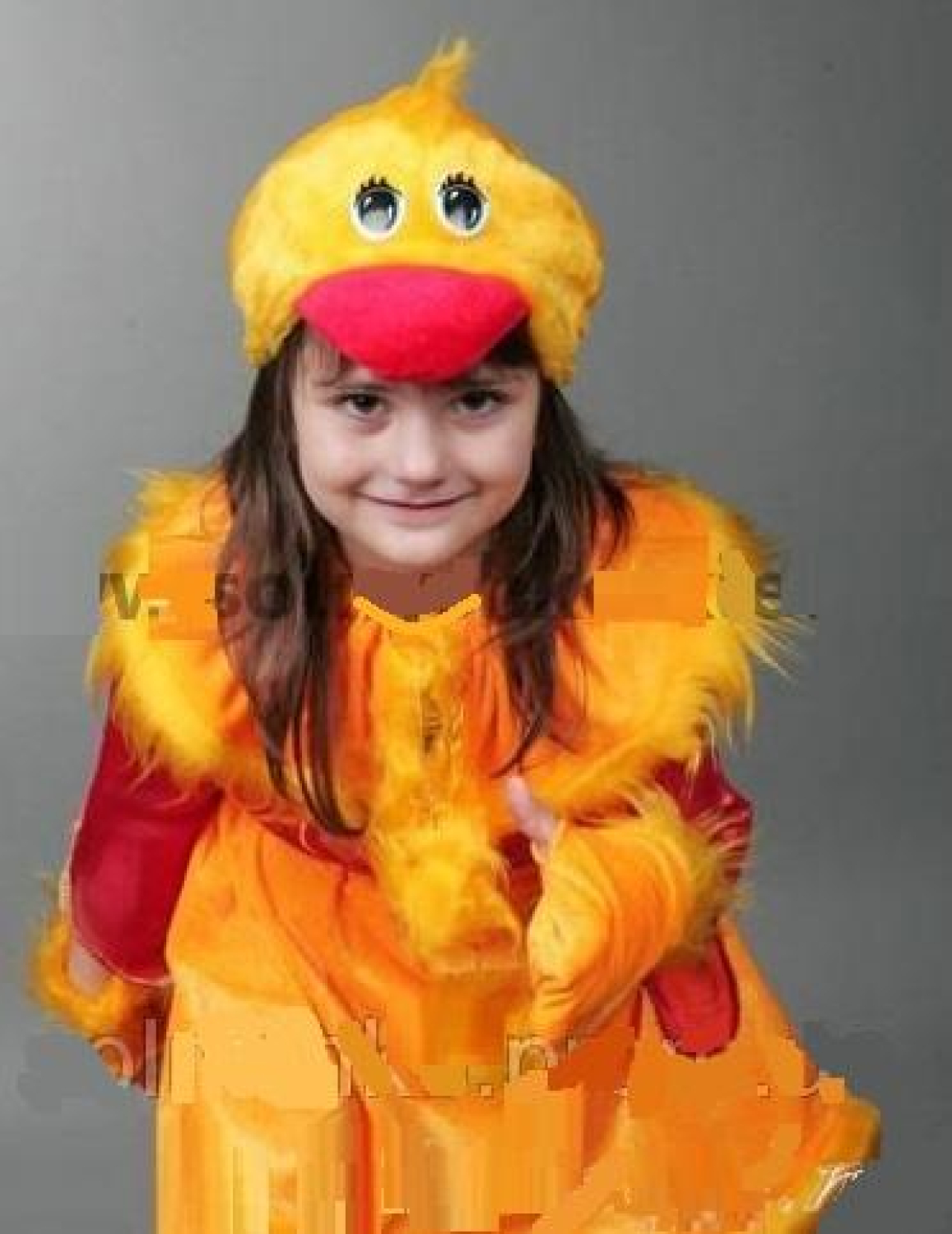 Carnival costume Duck number 2