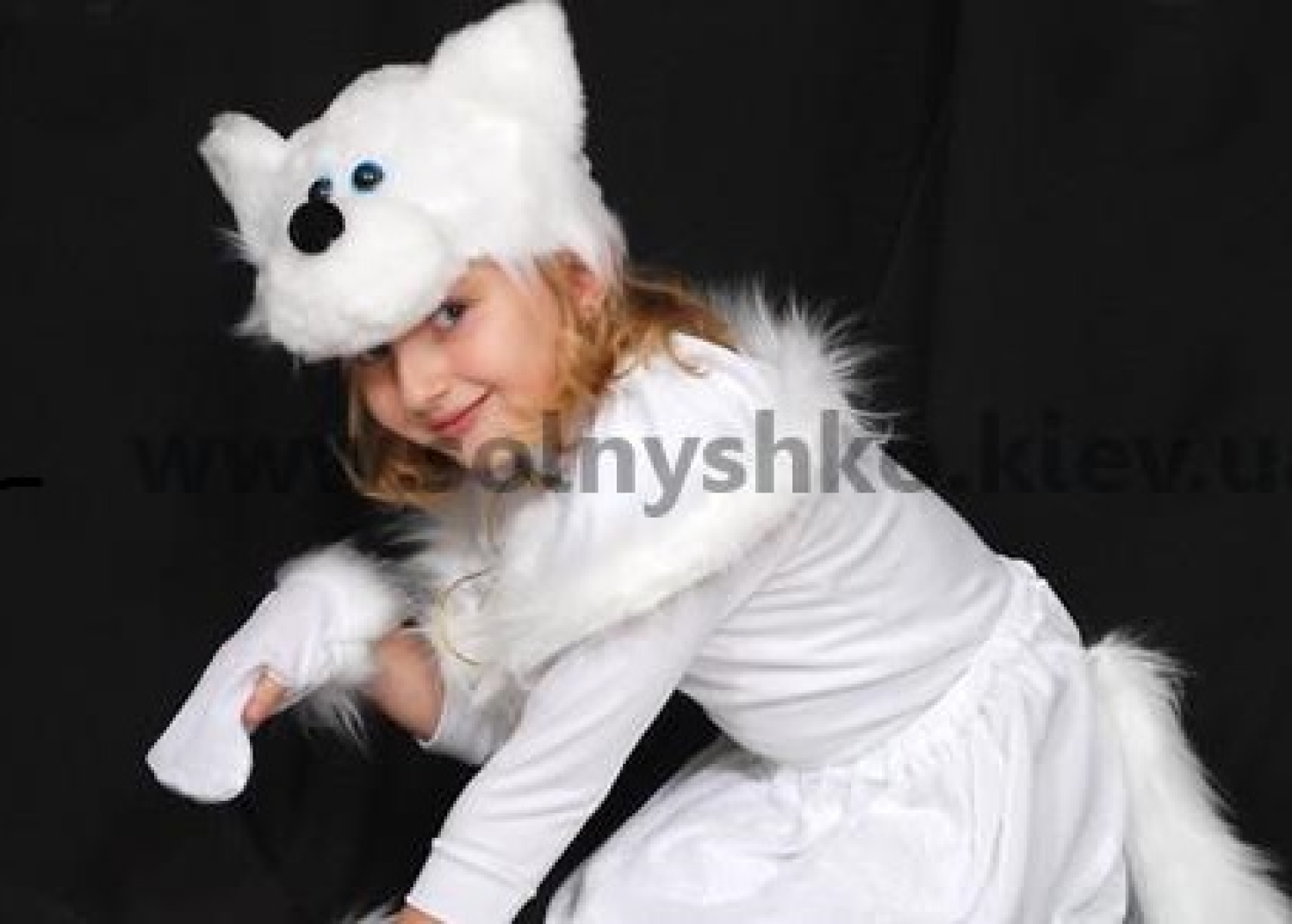 Carnival costume Cat - Kitty number 2