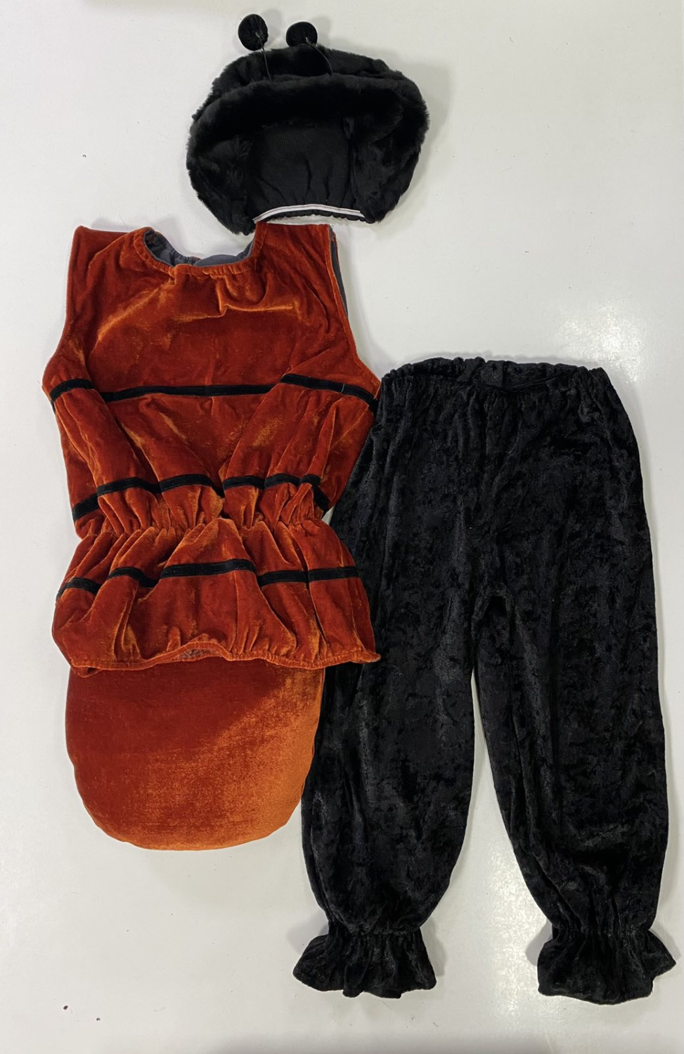 Carnival costume ants sonechko