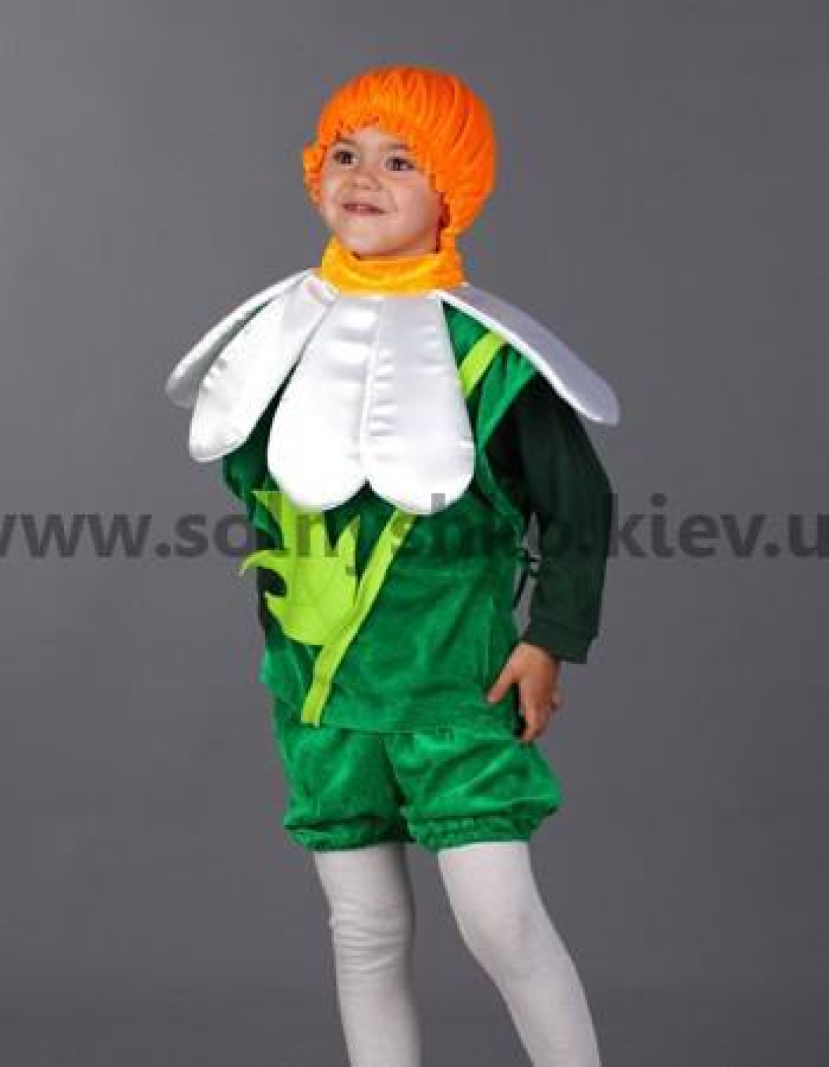 Carnival costume chamomile # 2