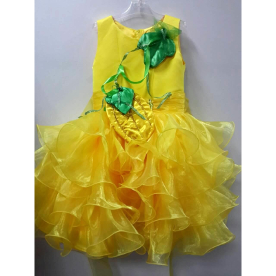 Карнавальний костюм Диня Рюша