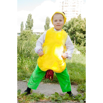 Карнавальний костюм Груша № 1