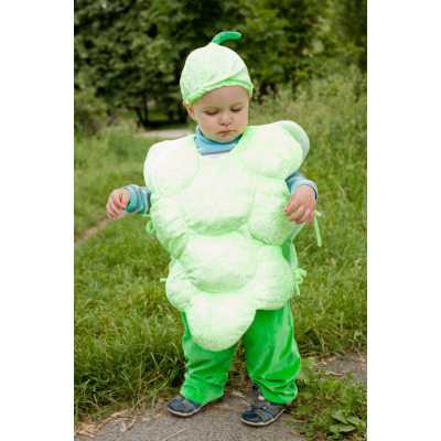 Карнавальний костюм Виноград №1