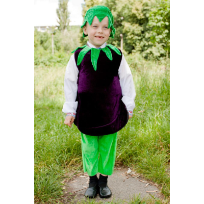Карнавальний костюм Баклажан №1