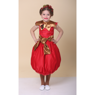 Карнавальний костюм Шипшина, Горобина