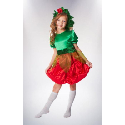 Карнавальний костюм Ягода ягідка №5