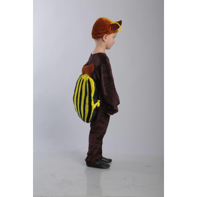 Carnival costume Colorado beetle