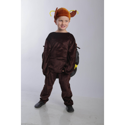 Carnival costume Colorado beetle