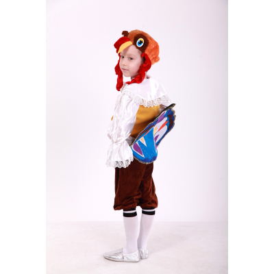 Carnival costume for a boy turkey, TM Sonechko TM turkey