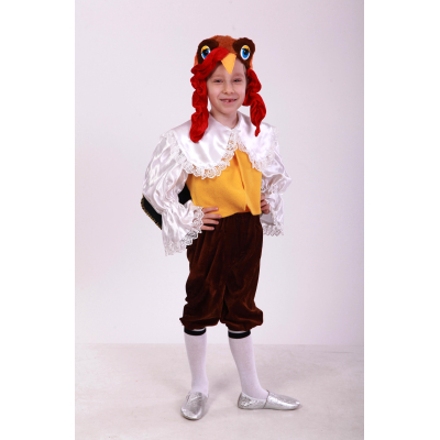 Carnival costume for a boy turkey, TM Sonechko TM turkey
