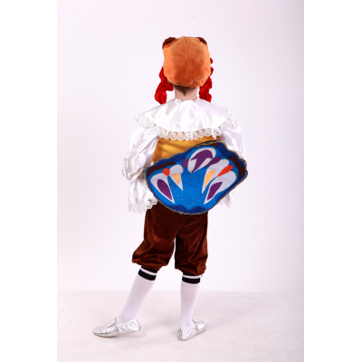 Carnival costume for a boy turkey, TM Sonechko TM turkey