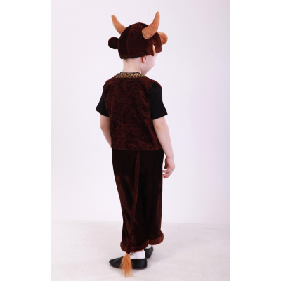 Bull carnival costume for a boy - bull