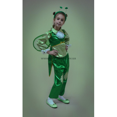 Carnival costume for grasshopper # 1