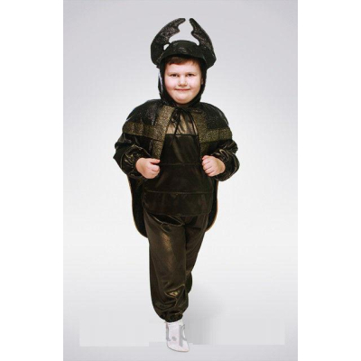 Carnival costume Beetle №5