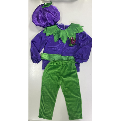 Carnival costume Crocus Sonechko