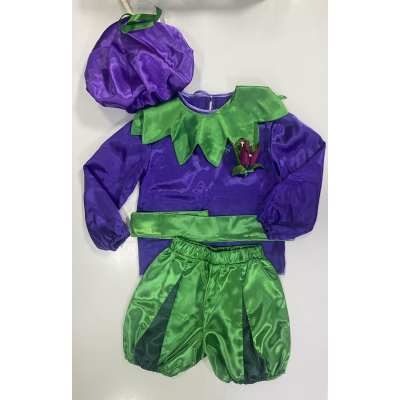 Carnival costume Crocus Sonechko