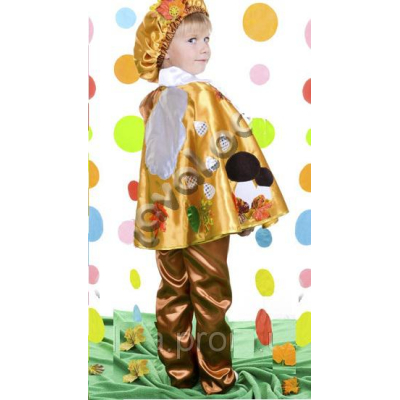 Carnival costume Autumn month №4