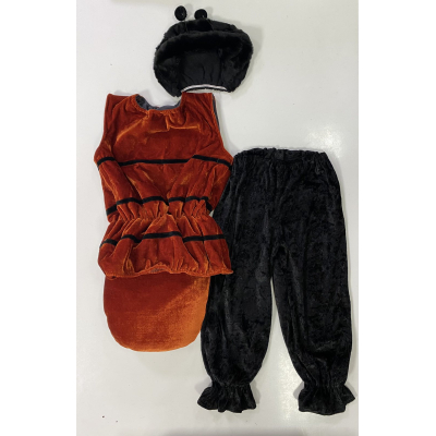 Carnival costume ants sonechko