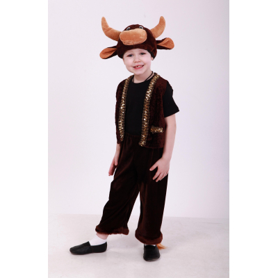 Bull carnival costume for a boy - bull