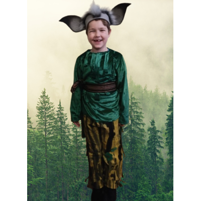 Карнавальний костюм Гоблін Лісовик № 9 Sonechko