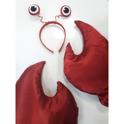 Carnival costume for a boy crab