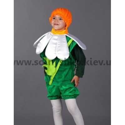 Carnival costume chamomile # 2