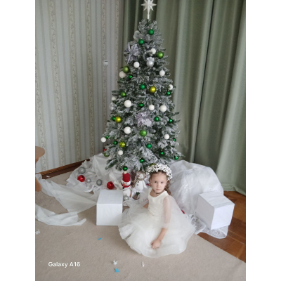 Сукня Блиск Крила Сніжинка айворі