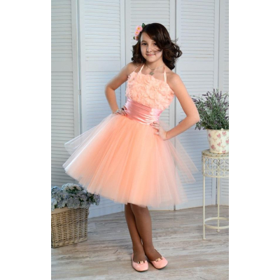 Ошатне плаття на дівчинку-підлітка Шеррі