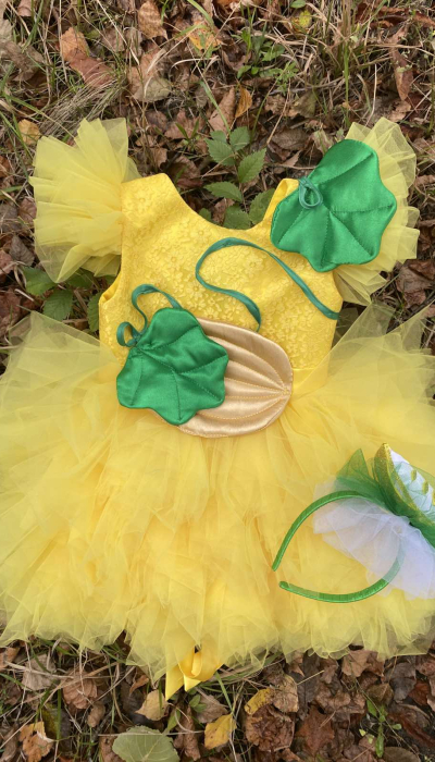 Карнавальний костюм Диня 5