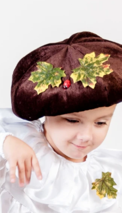 Шапка Гриб Боровик