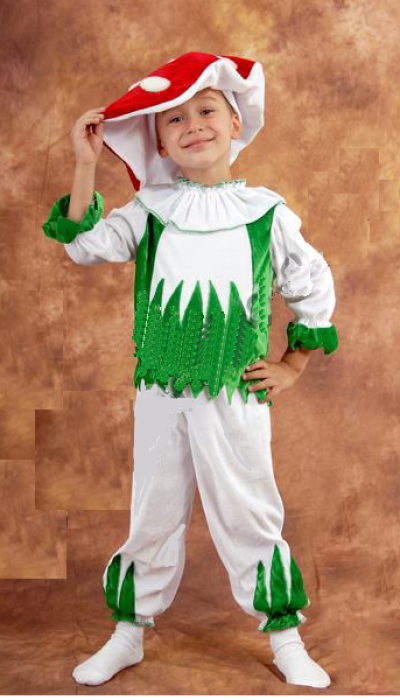 Карнавальний костюм Гриб - Боровик/Мухомор №4