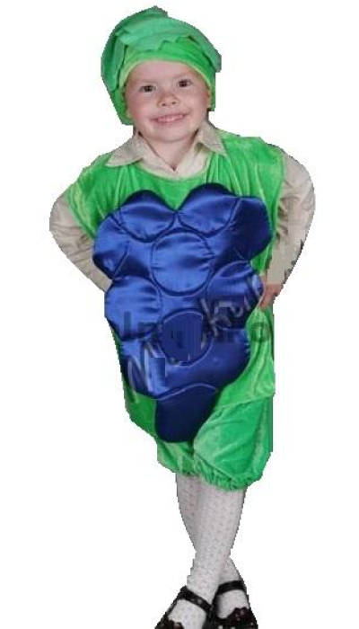  Карнавальний костюм Виноград №2