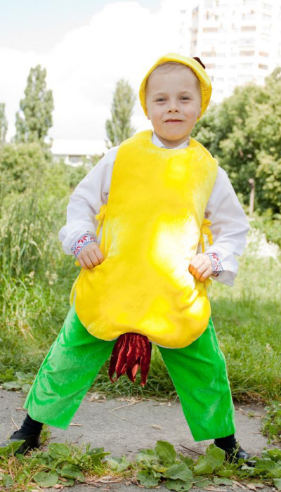 Карнавальний костюм Груша № 1