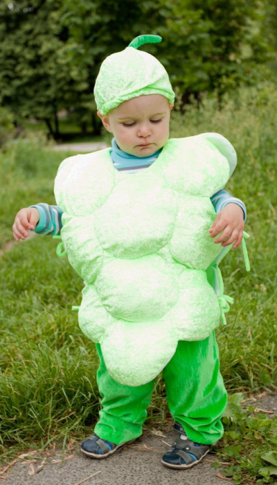 Карнавальний костюм Виноград №1