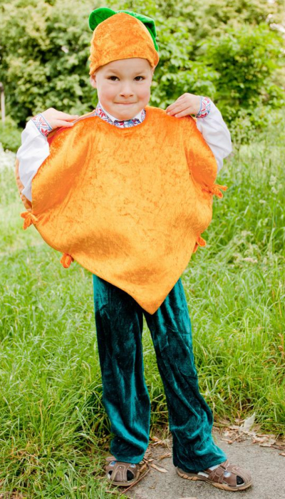 Карнавальний костюм  ріпа ріпка редька №1