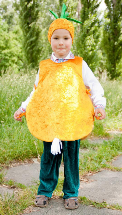 Carnival costume  Onion # 1