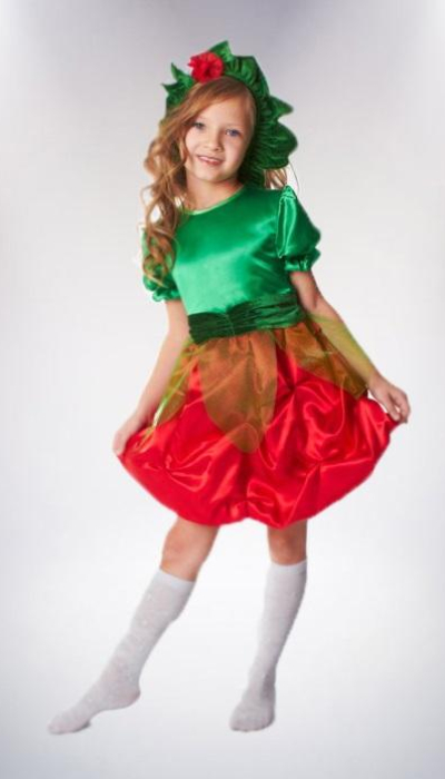 Carnival costume berry # 5