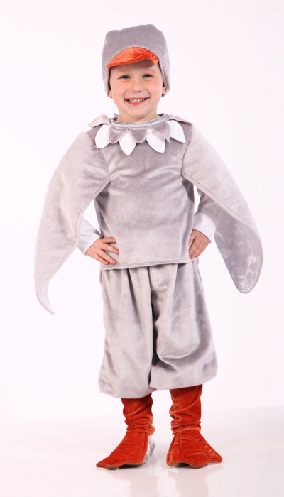 Карнавальний костюм дитячий Гусь сірий, Гусь білий